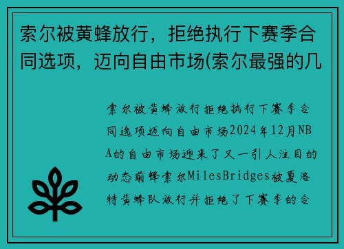 索尔被黄蜂放行，拒绝执行下赛季合同选项，迈向自由市场(索尔最强的几个状态)